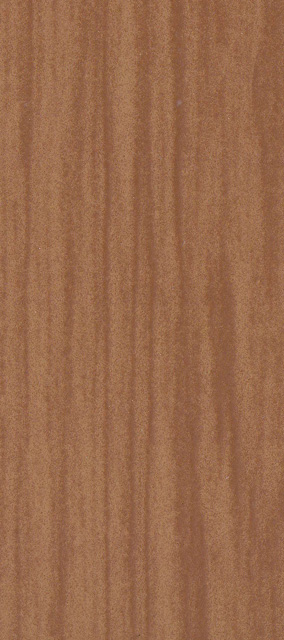 C170 Rovere