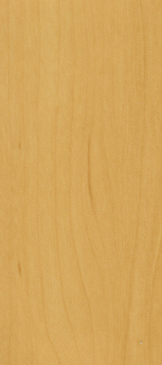 BETULLA ROSE' F436-3031
