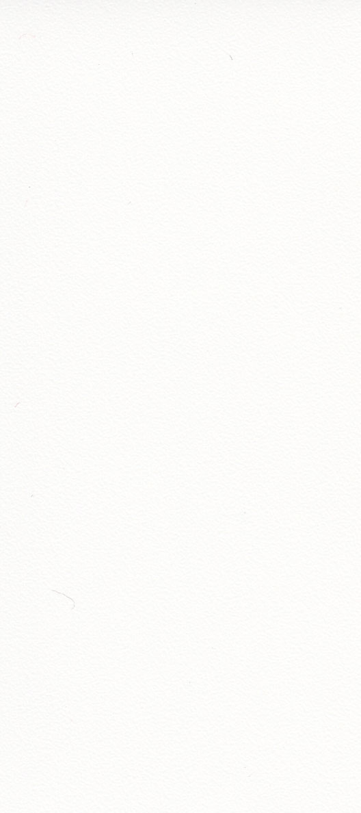 BIANCO TRAFFICO F456-7030